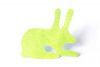Dvoeuhy hare